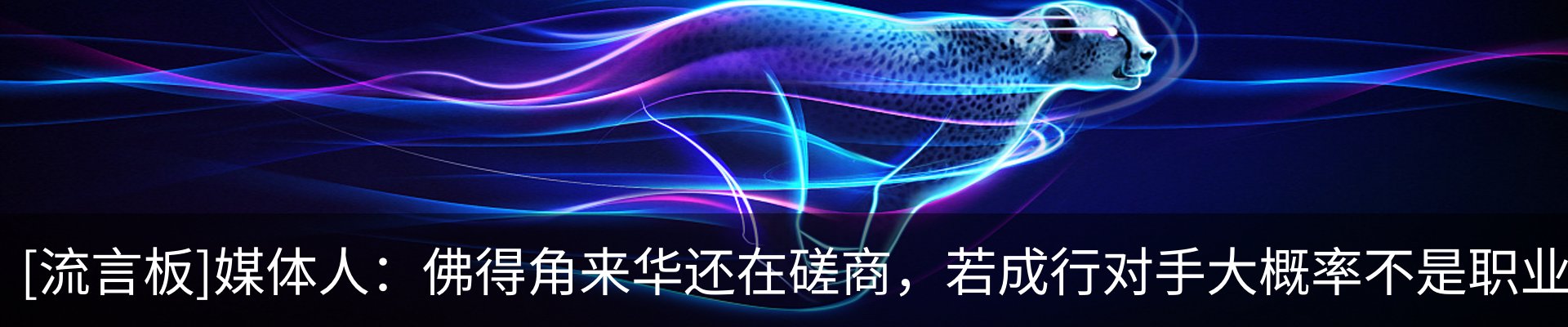 新闻动态